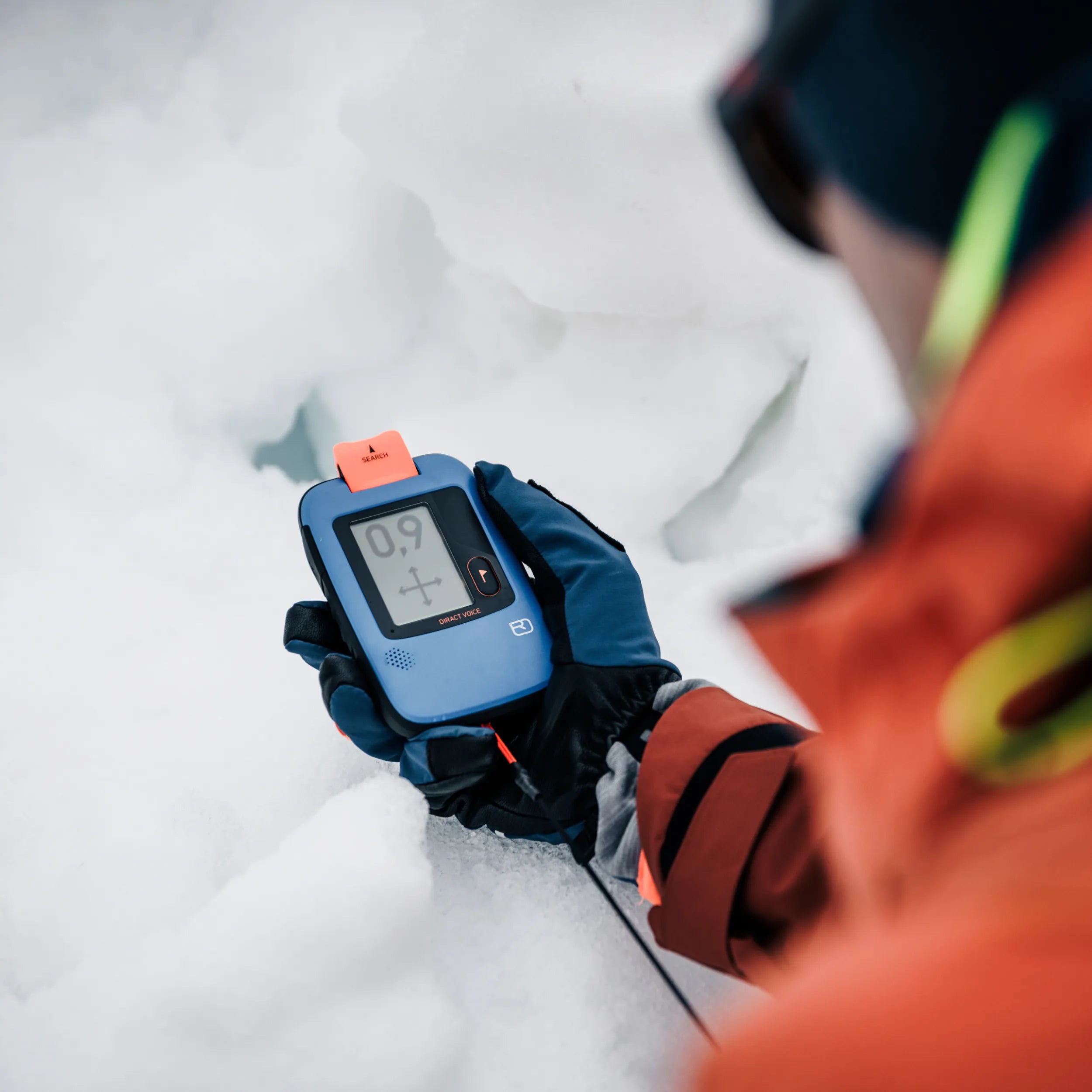 Ortovox Beast Safety Blue